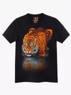 4340 (Original T-shirts,Rock Eagle)