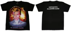 DAVID BOWIE TDM 0593 HOT ROCK LONGSLEEVE