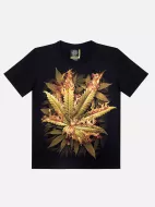 ROCK EAGLE Glow In The Dark (GW T-Shirts) 306