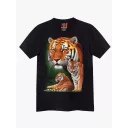 4271 (Original T-shirts,Rock Eagle)