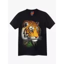 4413 (Original T-shirts,Rock Eagle)