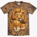 TD 232 (Animals, T-Shirts,Rock Eagle)
