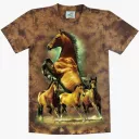 TD 249 (Animals, T-Shirts,Rock Eagle)