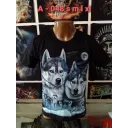 CABALLO A 048