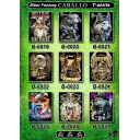 CABALLO Biker T-shirts B 0019 - B 0027