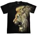 ROCK CHANG 3D-132 (T-Shirt)