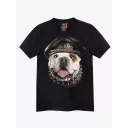 4335 (Original T-shirts,Rock Eagle)