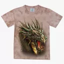 TD -289 (Art,Rock Eagle, T-Shirts)