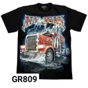 ROCK CHANG GR- 809 t-shirt