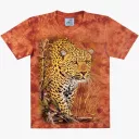 TD 367 (Animals, T-Shirts,Rock Eagle)