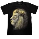 ROCK CHANG GR-618 t-shirt