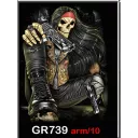 ROCK CHANG GR-739 t-shirt