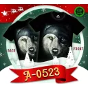 Caballo A-0523 (animal, t-shirt)