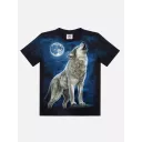 DISCHARGE (D) D-211  (Rock Eagle, T-Shirts)